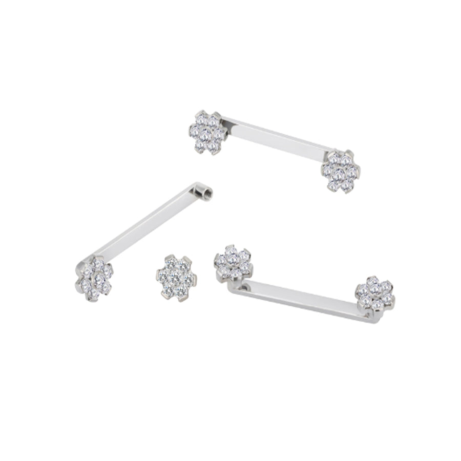 Internal Threaded Piercing Jewelry