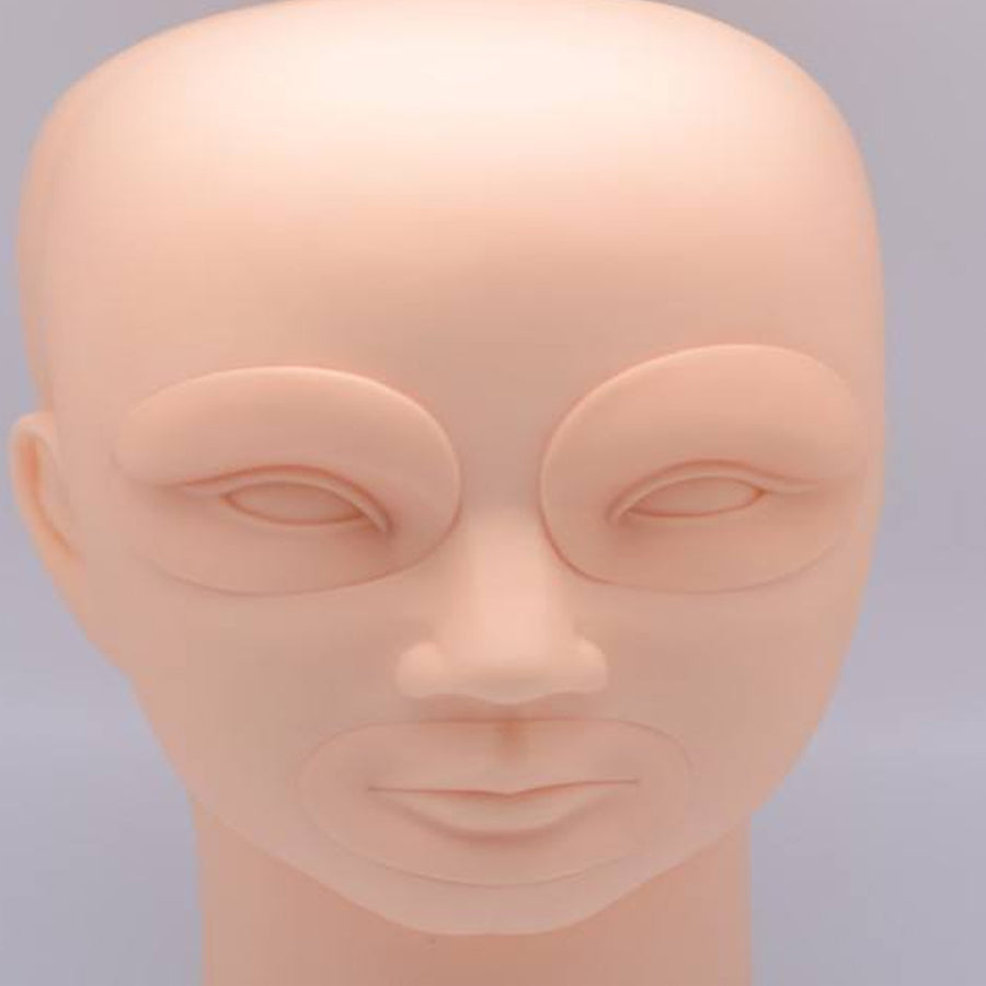 Practice Skin For Head Model