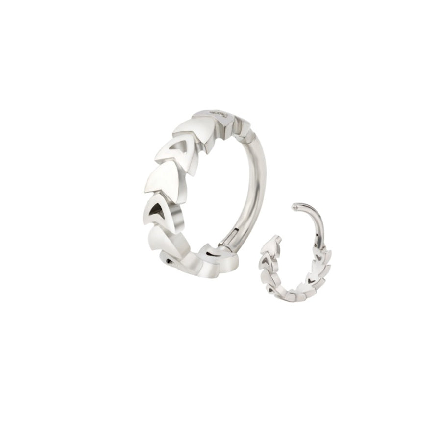 Stainless Segment Ring