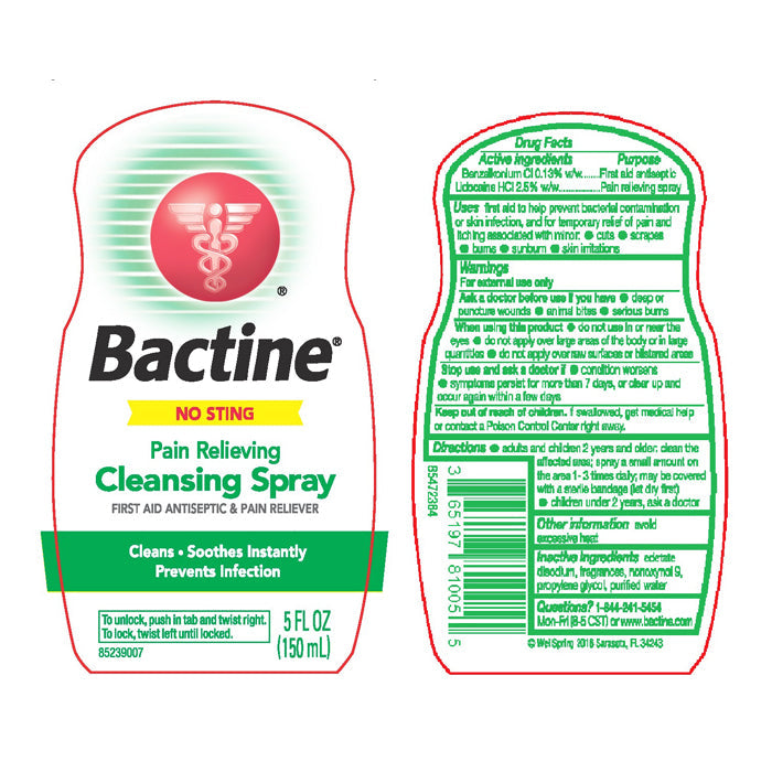 Bactine Pain Relieving Antiseptic Spray with Lidocaine