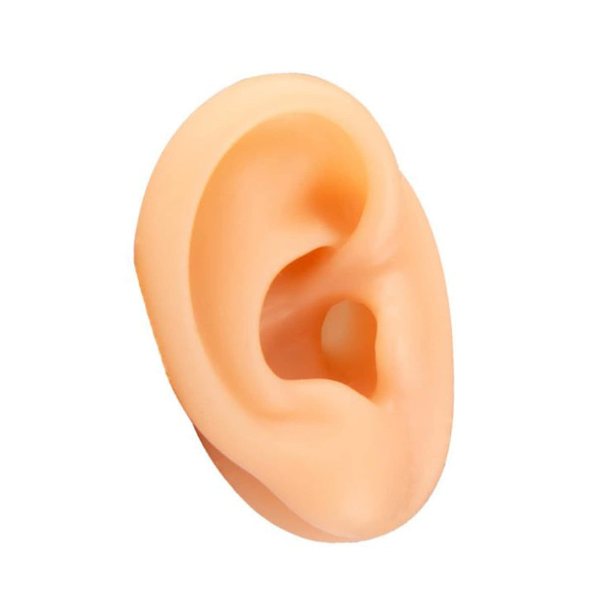 Practice Soft Silicone Ear Piercing Model – Tattoo Gizmo