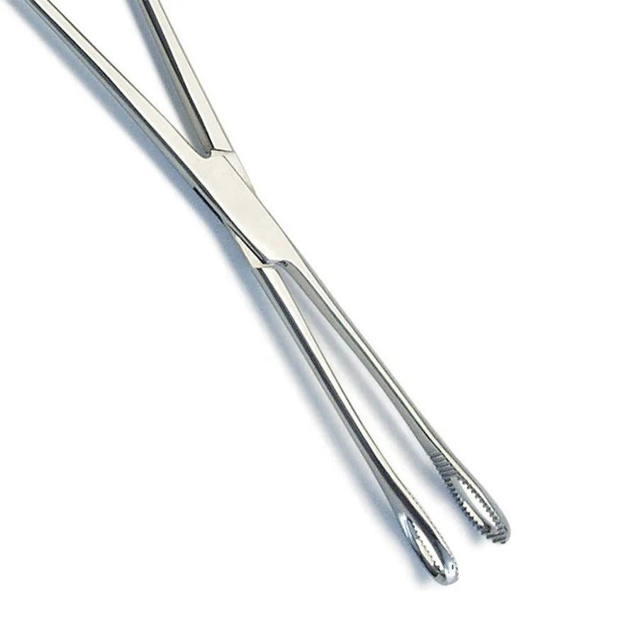 1 Sponge Forceps 7 Sloted Without Ratchet Body Piercing Surgical Tools | UK 1 Sponge Forceps 7 Sloted Without Ratchet Body Piercing Surgical Tools | UK