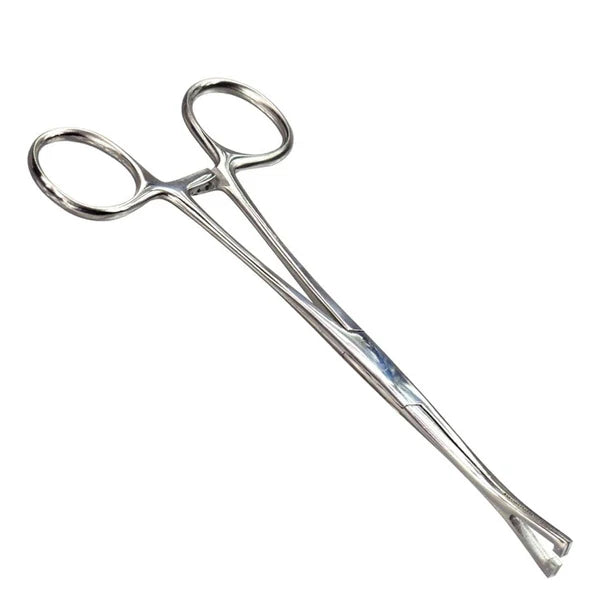Piercing Forceps – Surgical Grade Stainless Steel